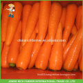 2016 New Crop Chinese Fresh Carrot Lowest Price